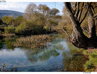 Capestrano_Navelli_20061105_030