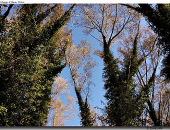 Capestrano_Navelli_20061119_038