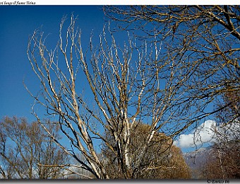 Capestrano_Navelli_20061119_041
