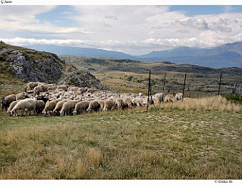 Gran_Sasso_20050813_036