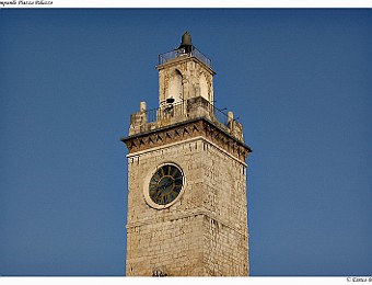 Aquila_20060713_040