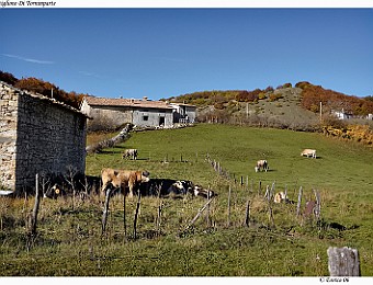 Aquila_20061029_081
