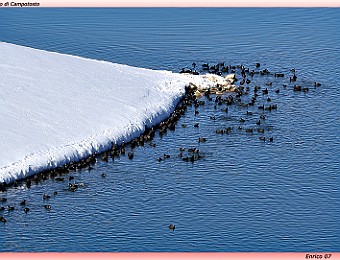 Campotosto_20070130_058