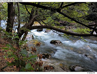 Gole_Di_San_Venanzio_20061008_009