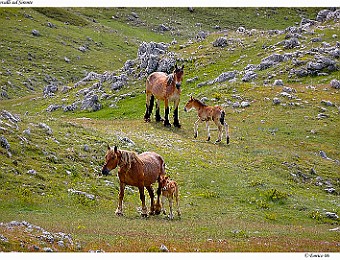 Velino_Sirente_20060523_022